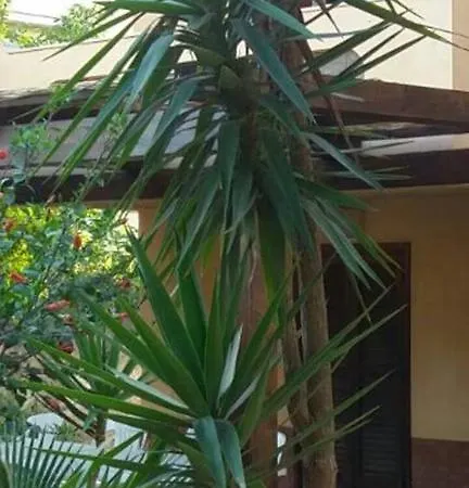 Vakantiehuis Del Melograno Mazara del Vallo
