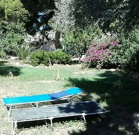 Del Melograno