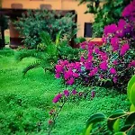 Tatil Evi Del Melograno